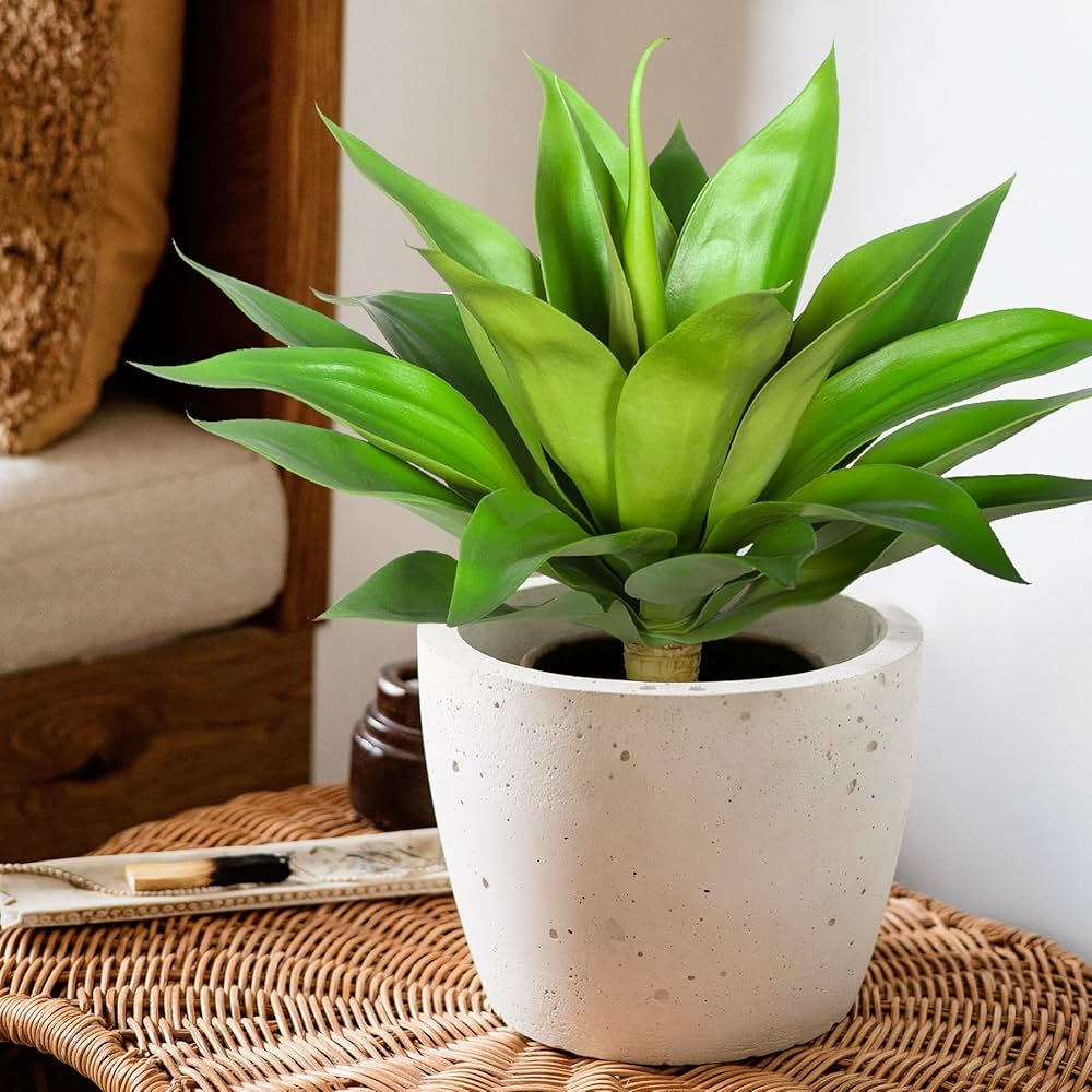 ソウラボAGAVE- [ Z ] ERO BOTANIZE PLA POT Agave Pot Bowl - MICRO PLANT STUDIO